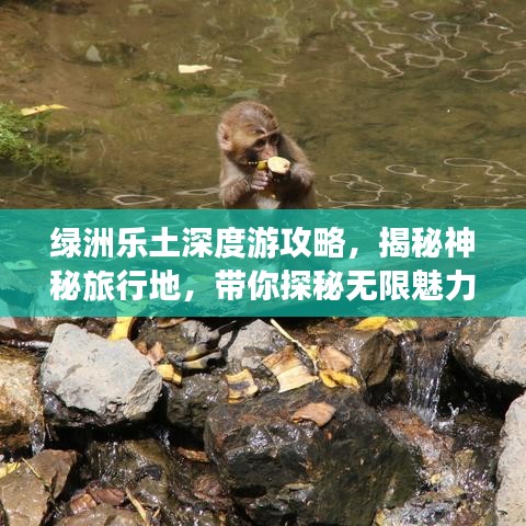 绿洲乐土深度游攻略，揭秘神秘旅行地，带你探秘无限魅力之旅