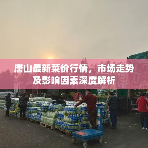 唐山最新菜价行情，市场走势及影响因素深度解析