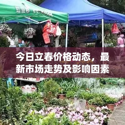 今日立春价格动态，最新市场走势及影响因素深度解析
