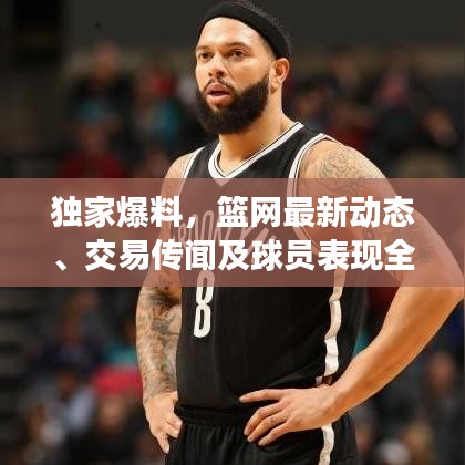 独家爆料，篮网最新动态、交易传闻及球员表现全解析！