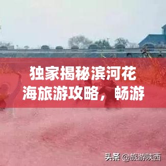 独家揭秘滨河花海旅游攻略，畅游绚烂花海的梦幻路线