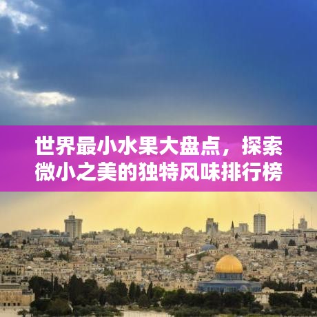 世界最小水果大盘点，探索微小之美的独特风味排行榜