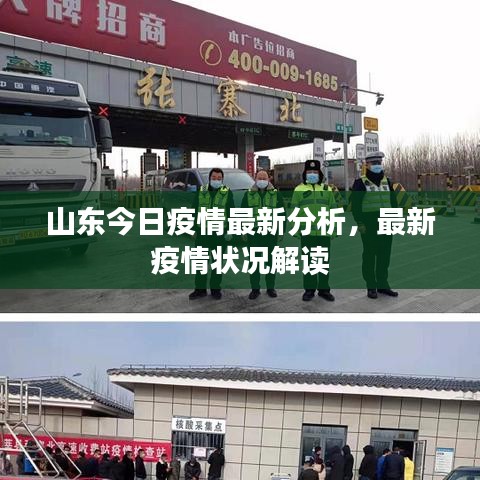 山东今日疫情最新分析，最新疫情状况解读