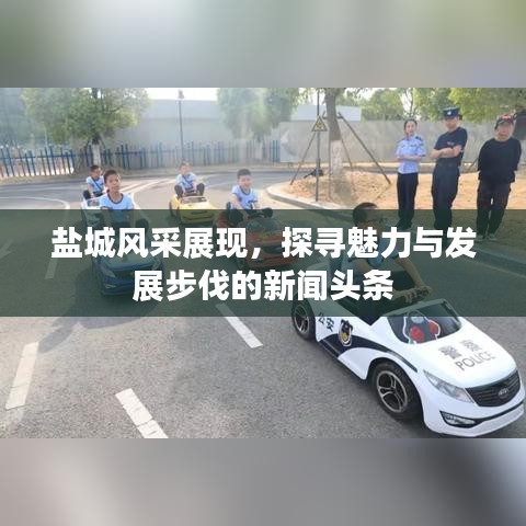 盐城风采展现，探寻魅力与发展步伐的新闻头条