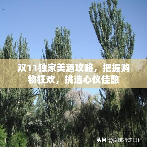 双11独家美酒攻略，把握购物狂欢，挑选心仪佳酿