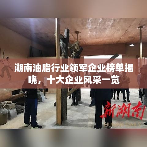 湖南油脂行业领军企业榜单揭晓，十大企业风采一览