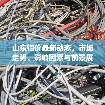 山东铜价最新动态，市场走势、影响因素与前景展望