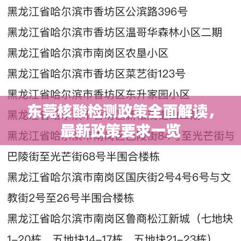 东莞核酸检测政策全面解读，最新政策要求一览