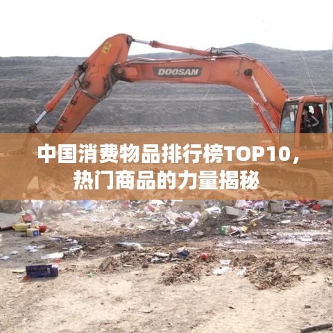 中国消费物品排行榜TOP10，热门商品的力量揭秘