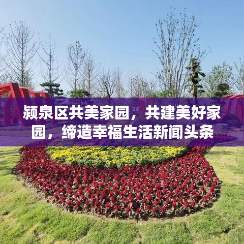颍泉区共美家园，共建美好家园，缔造幸福生活新闻头条
