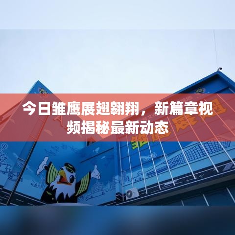 今日雏鹰展翅翱翔，新篇章视频揭秘最新动态