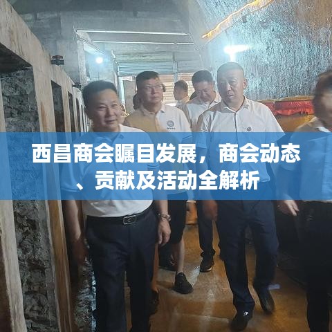 西昌商会瞩目发展，商会动态、贡献及活动全解析