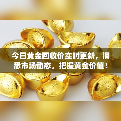 今日黄金回收价实时更新，洞悉市场动态，把握黄金价值！