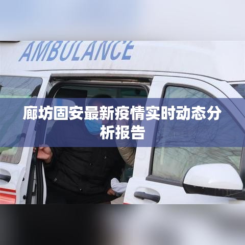 廊坊固安最新疫情实时动态分析报告