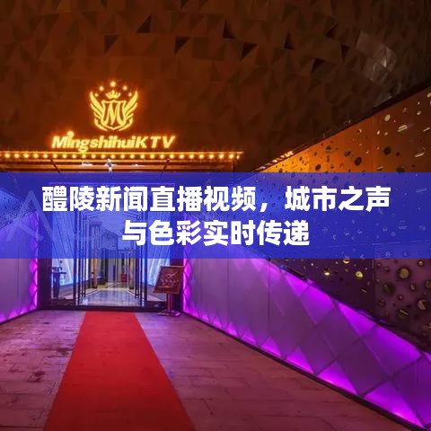 醴陵新闻直播视频，城市之声与色彩实时传递