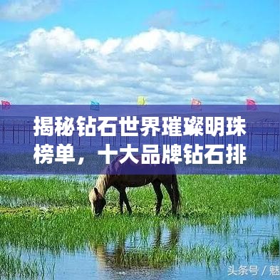 揭秘钻石世界璀璨明珠榜单，十大品牌钻石排名全解析