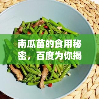 南瓜苗的食用秘密，百度为你揭示真相！