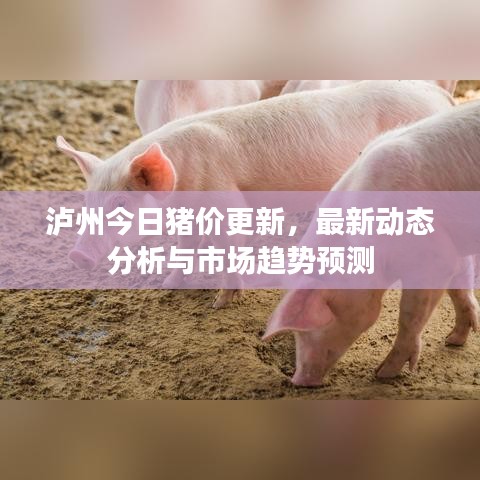 2025年6月12日 第43页