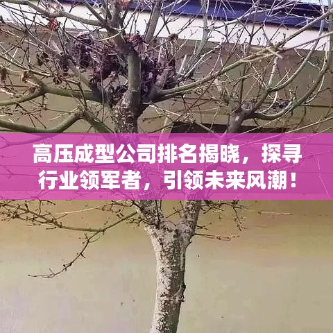 高压成型公司排名揭晓，探寻行业领军者，引领未来风潮！