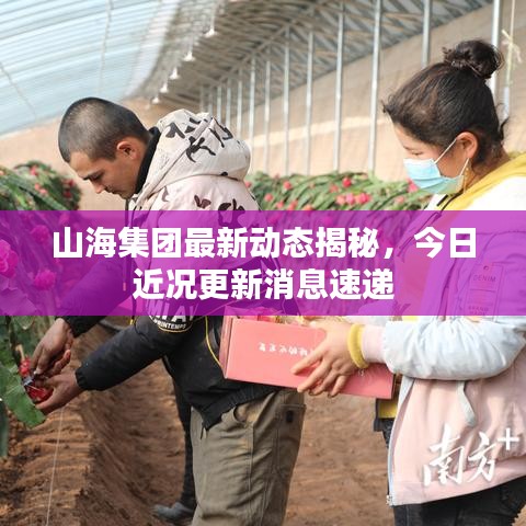 山海集团最新动态揭秘，今日近况更新消息速递