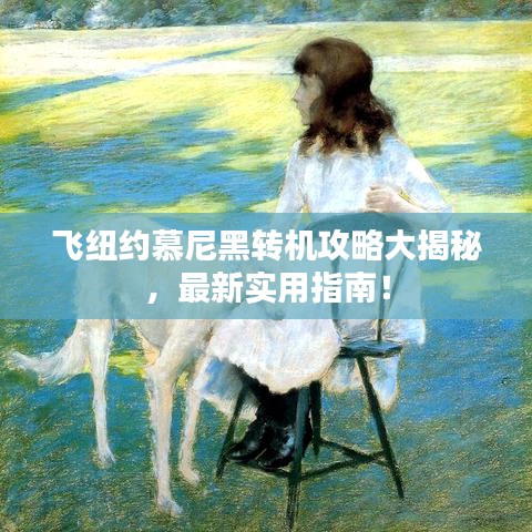 飞纽约慕尼黑转机攻略大揭秘，最新实用指南！
