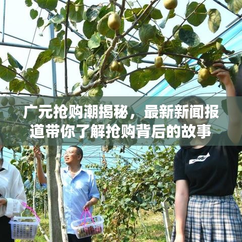 广元抢购潮揭秘，最新新闻报道带你了解抢购背后的故事
