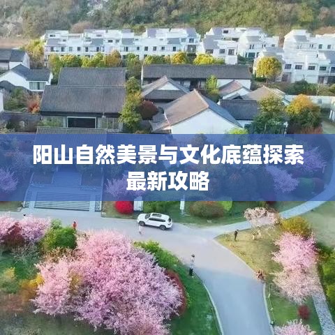阳山自然美景与文化底蕴探索最新攻略
