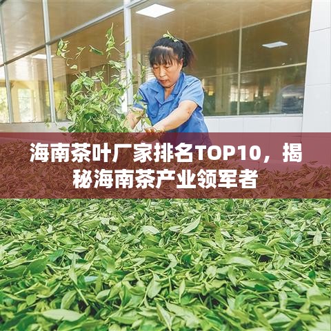 海南茶叶厂家排名TOP10，揭秘海南茶产业领军者