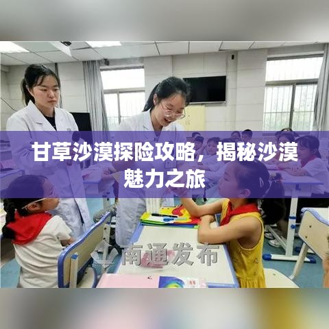 甘草沙漠探险攻略，揭秘沙漠魅力之旅