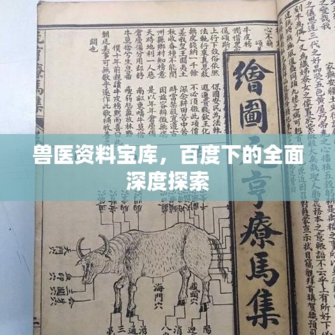 兽医资料宝库，百度下的全面深度探索