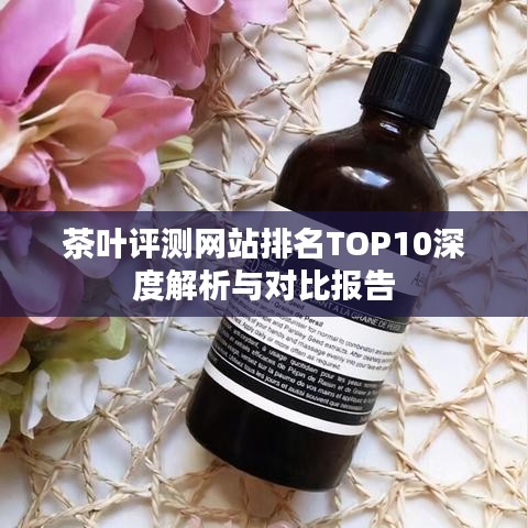 茶叶评测网站排名TOP10深度解析与对比报告