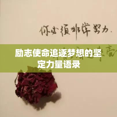 励志使命追逐梦想的坚定力量语录