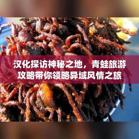 汉化探访神秘之地，青蛙旅游攻略带你领略异域风情之旅