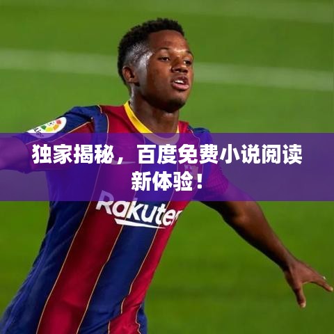 独家揭秘，百度免费小说阅读新体验！