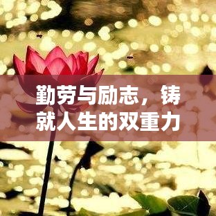勤劳与励志，铸就人生的双重力量，成就辉煌人生之路