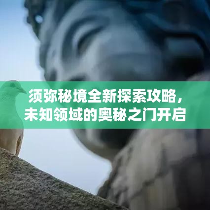 须弥秘境全新探索攻略，未知领域的奥秘之门开启！