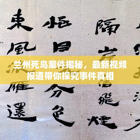 兰州死鸟案件揭秘，最新视频报道带你探究事件真相
