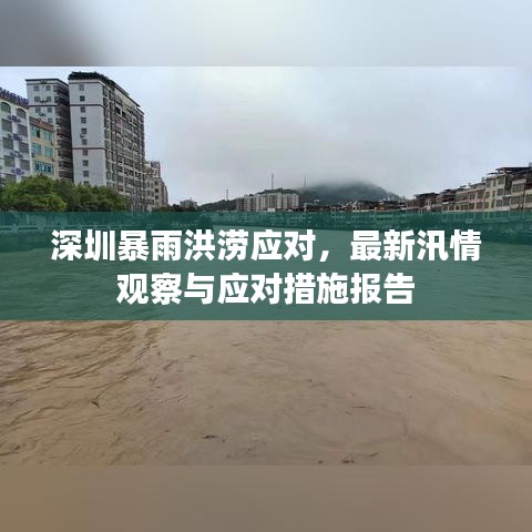 深圳暴雨洪涝应对，最新汛情观察与应对措施报告