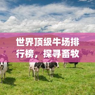 世界顶级牛场排行榜，探寻畜牧业巅峰奥秘