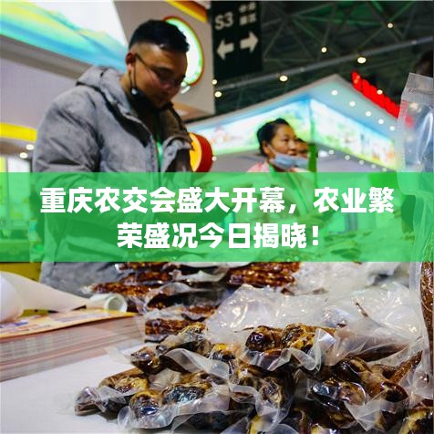 重庆农交会盛大开幕，农业繁荣盛况今日揭晓！