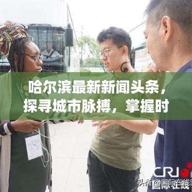 哈尔滨最新新闻头条，探寻城市脉搏，掌握时事动态
