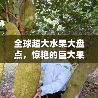 全球超大水果大盘点，惊艳的巨大果实排名！