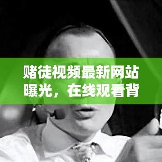 赌徒视频最新网站曝光，在线观看背后的警示与反思