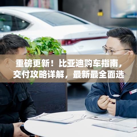 重磅更新！比亚迪购车指南，交付攻略详解，最新最全面选择指南