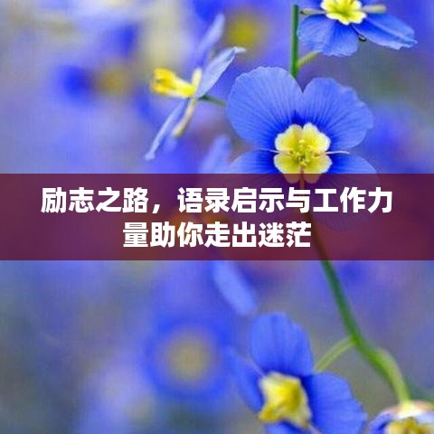 励志之路，语录启示与工作力量助你走出迷茫