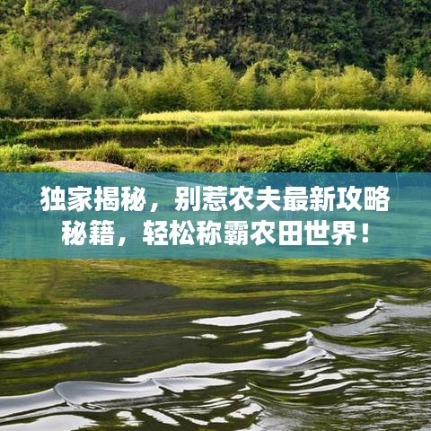 独家揭秘，别惹农夫最新攻略秘籍，轻松称霸农田世界！
