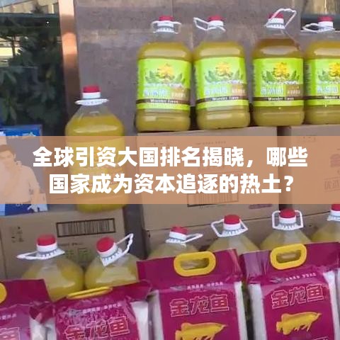 全球引资大国排名揭晓，哪些国家成为资本追逐的热土？