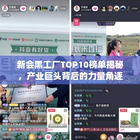 新会黑工厂TOP10榜单揭秘，产业巨头背后的力量角逐