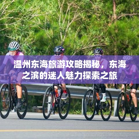 温州东海旅游攻略揭秘，东海之滨的迷人魅力探索之旅