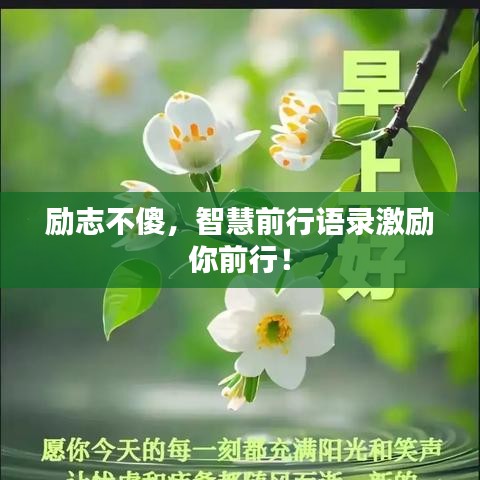 励志不傻，智慧前行语录激励你前行！